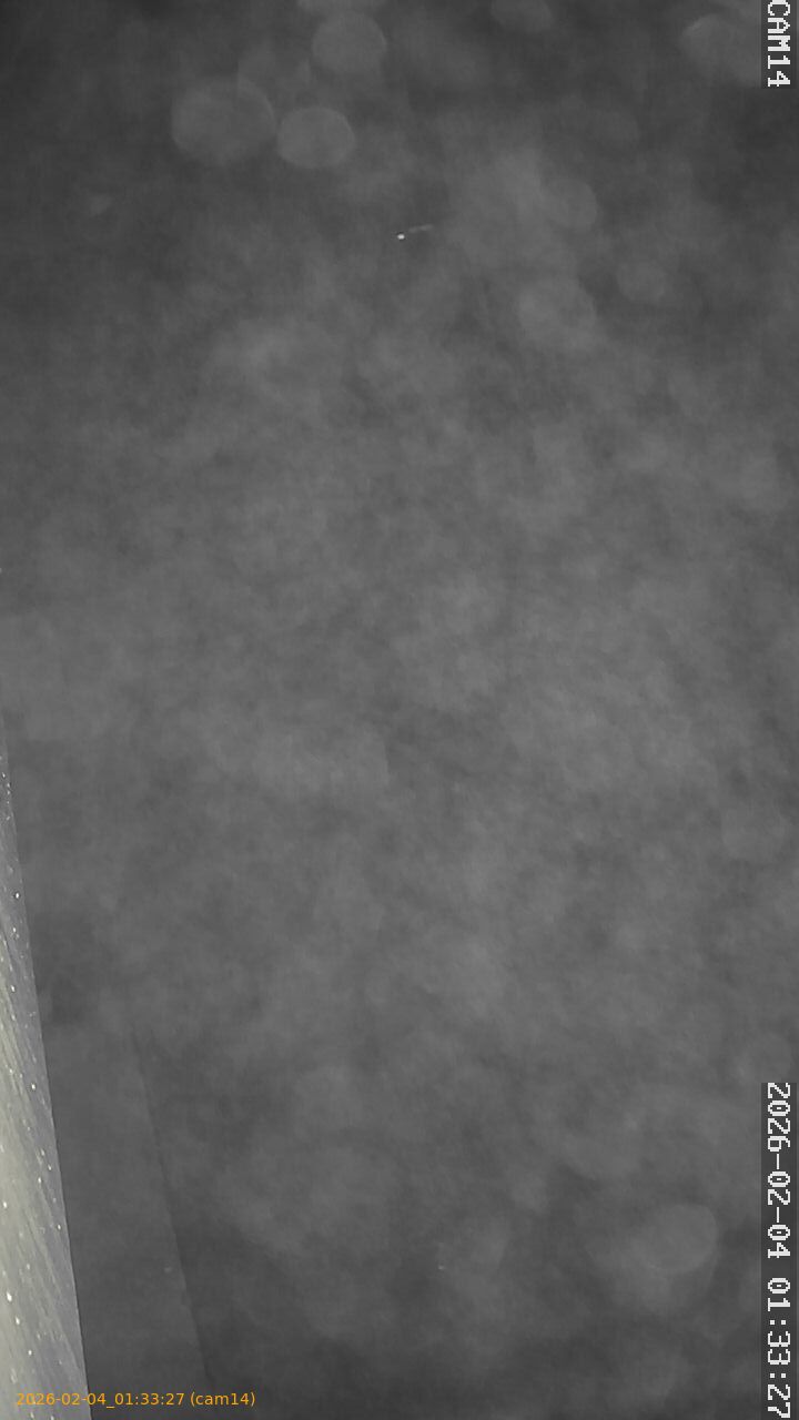 thumbnail_20260204013327