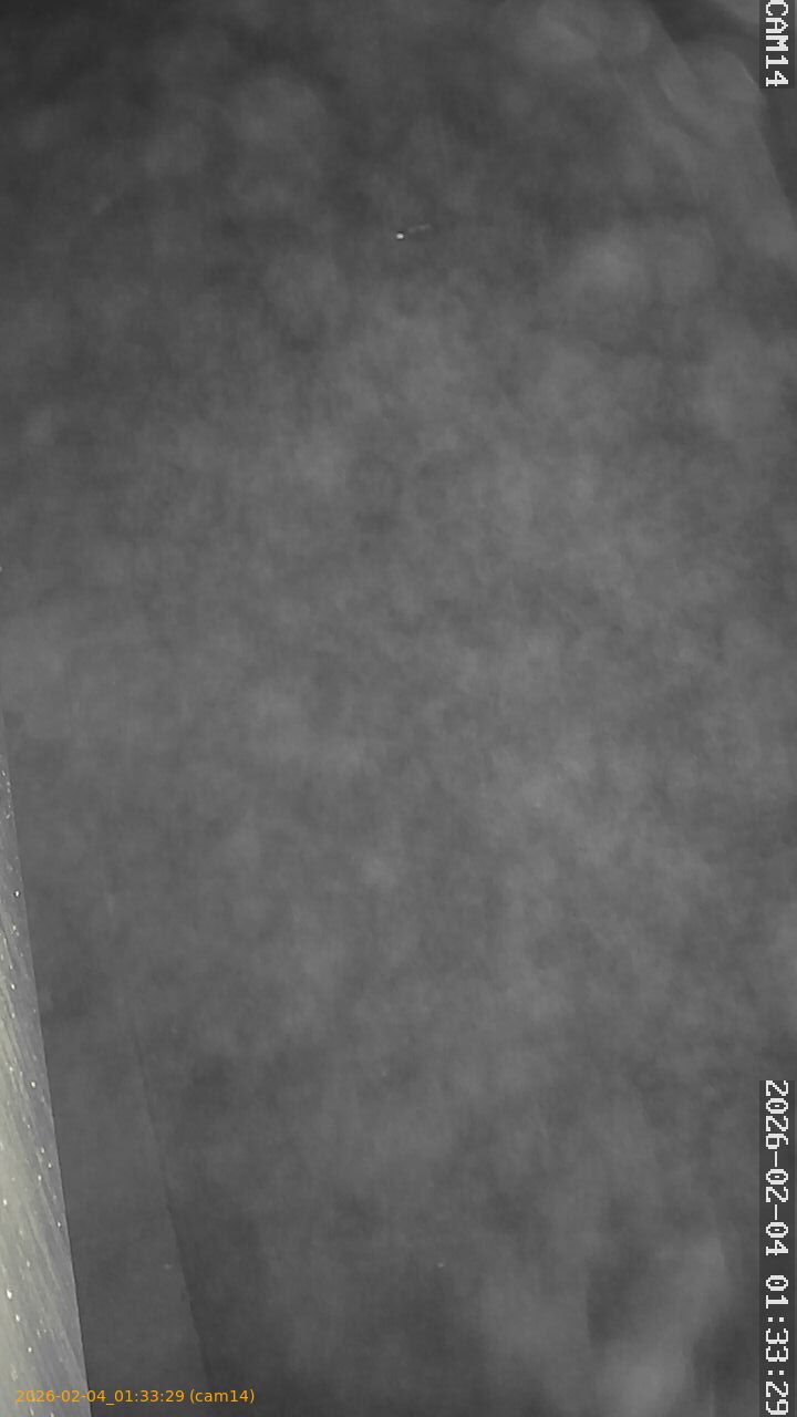 thumbnail_20260204013329