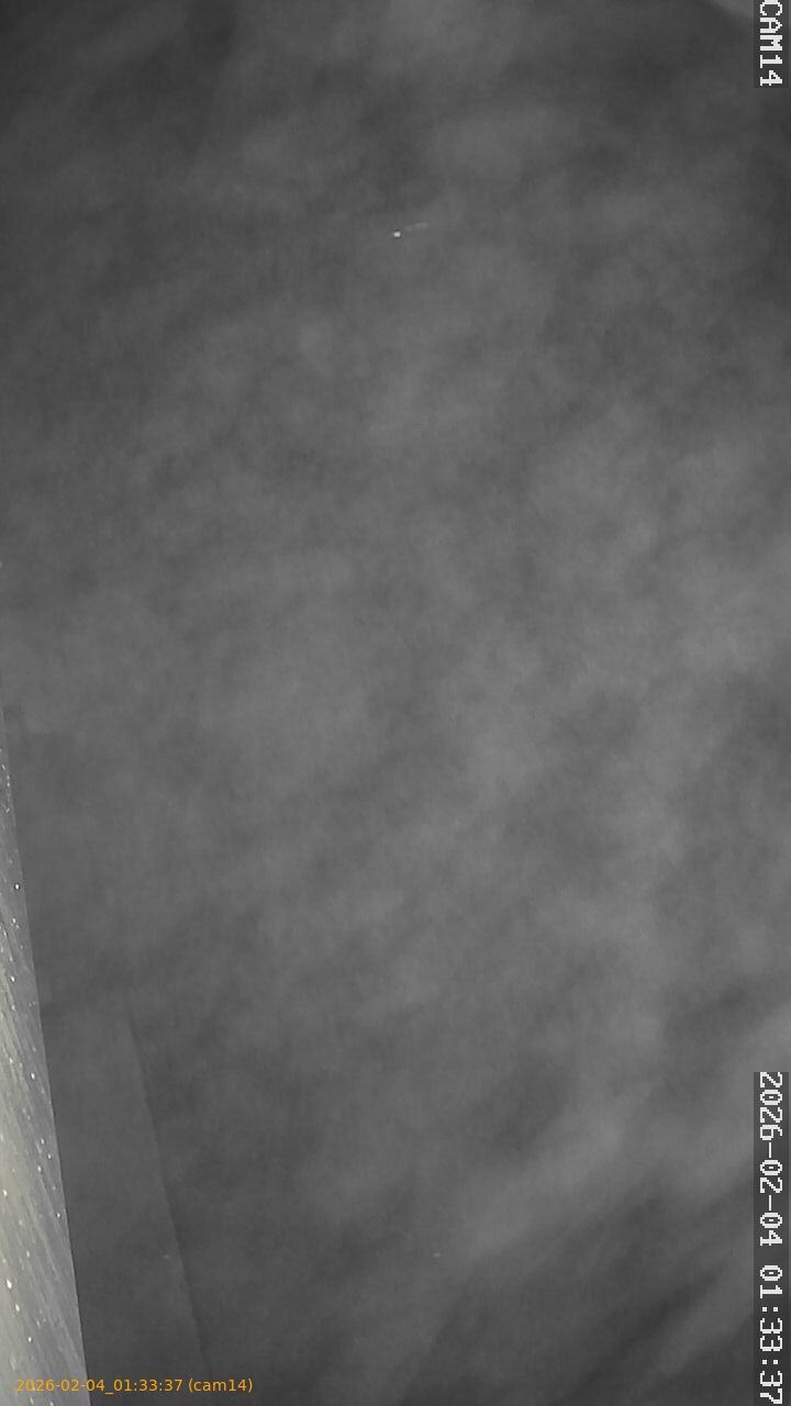 thumbnail_20260204013337