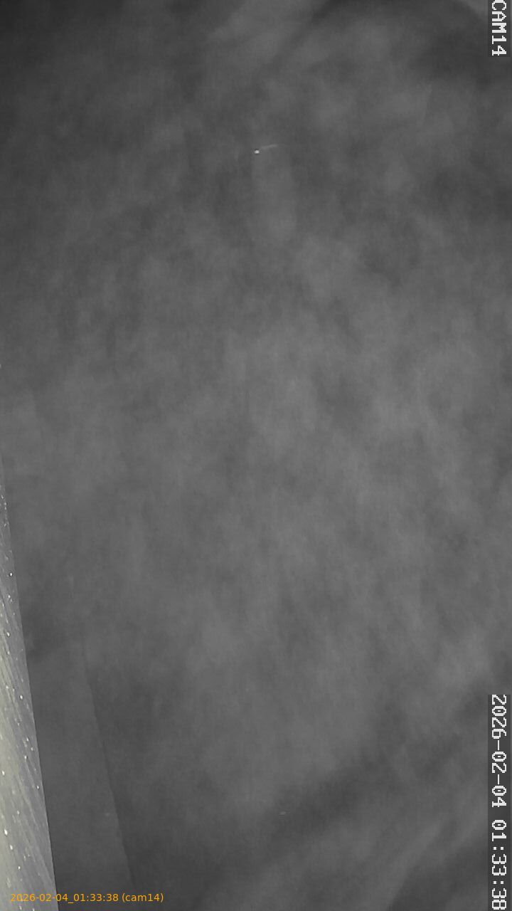 thumbnail_20260204013338