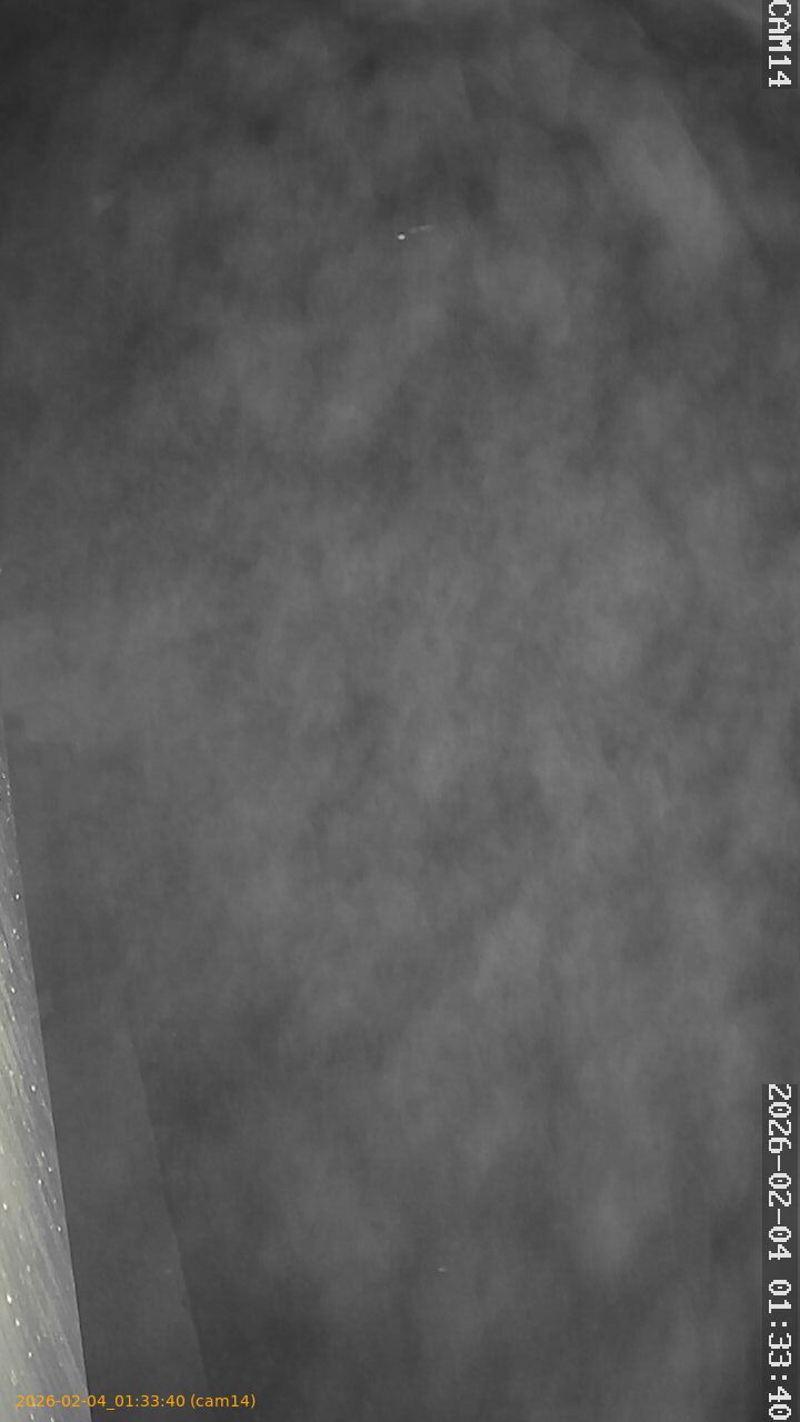 thumbnail_20260204013340