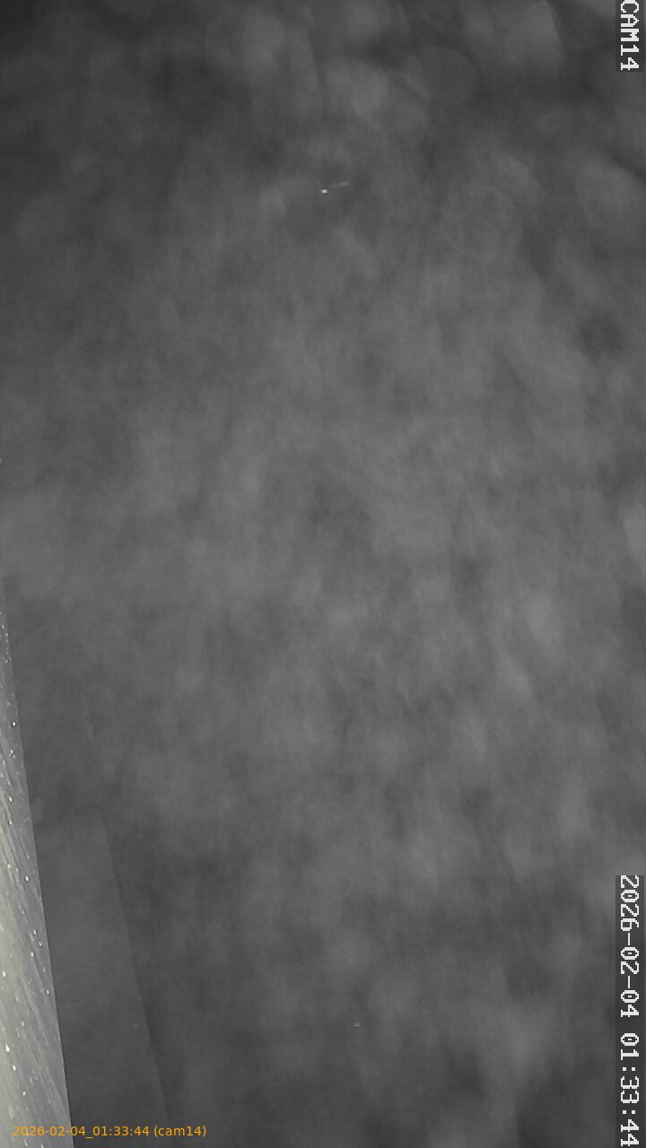 thumbnail_20260204013344