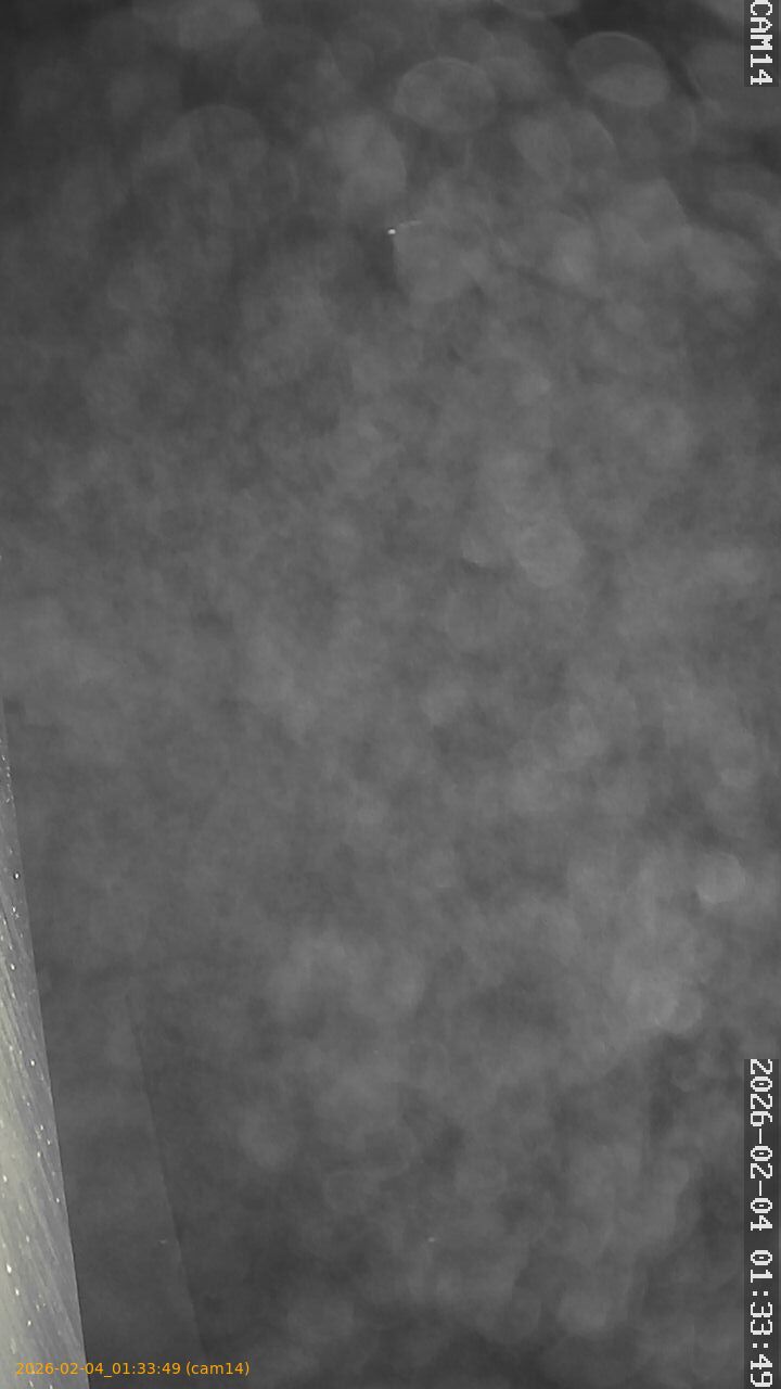 thumbnail_20260204013349