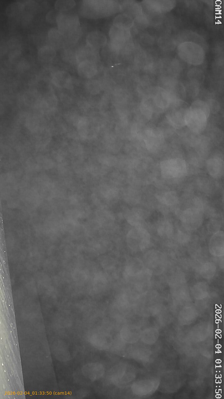 thumbnail_20260204013350