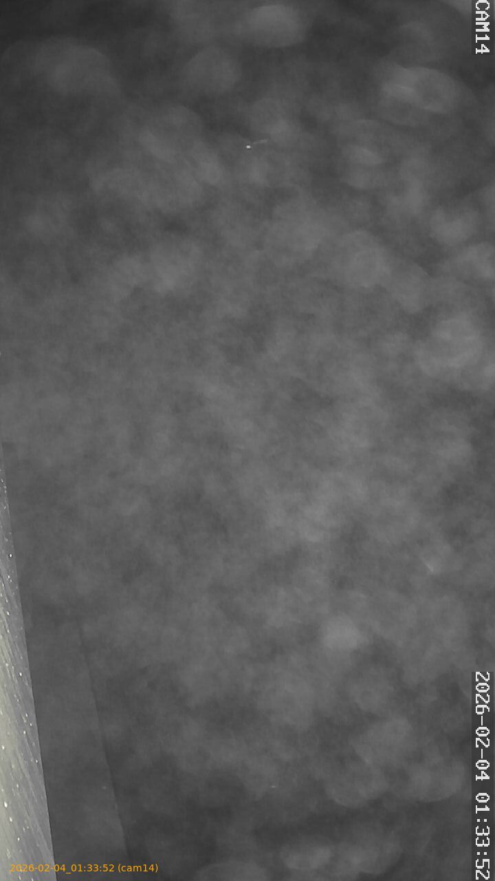 thumbnail_20260204013352