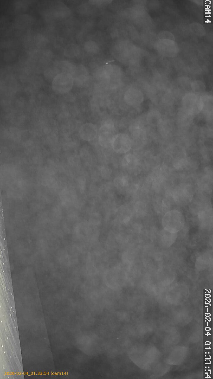 thumbnail_20260204013354