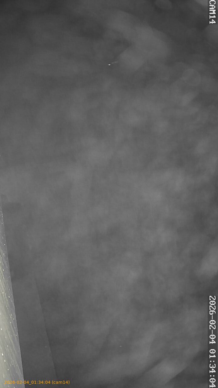 thumbnail_20260204013404