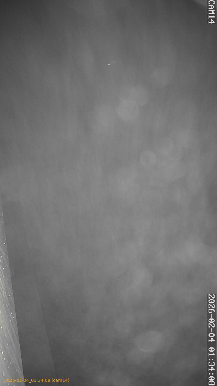 thumbnail_20260204013408