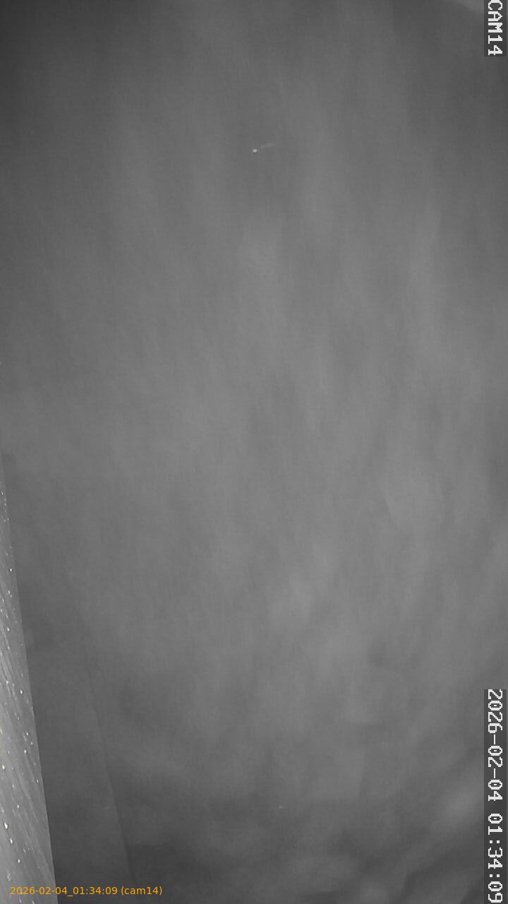 thumbnail_20260204013409