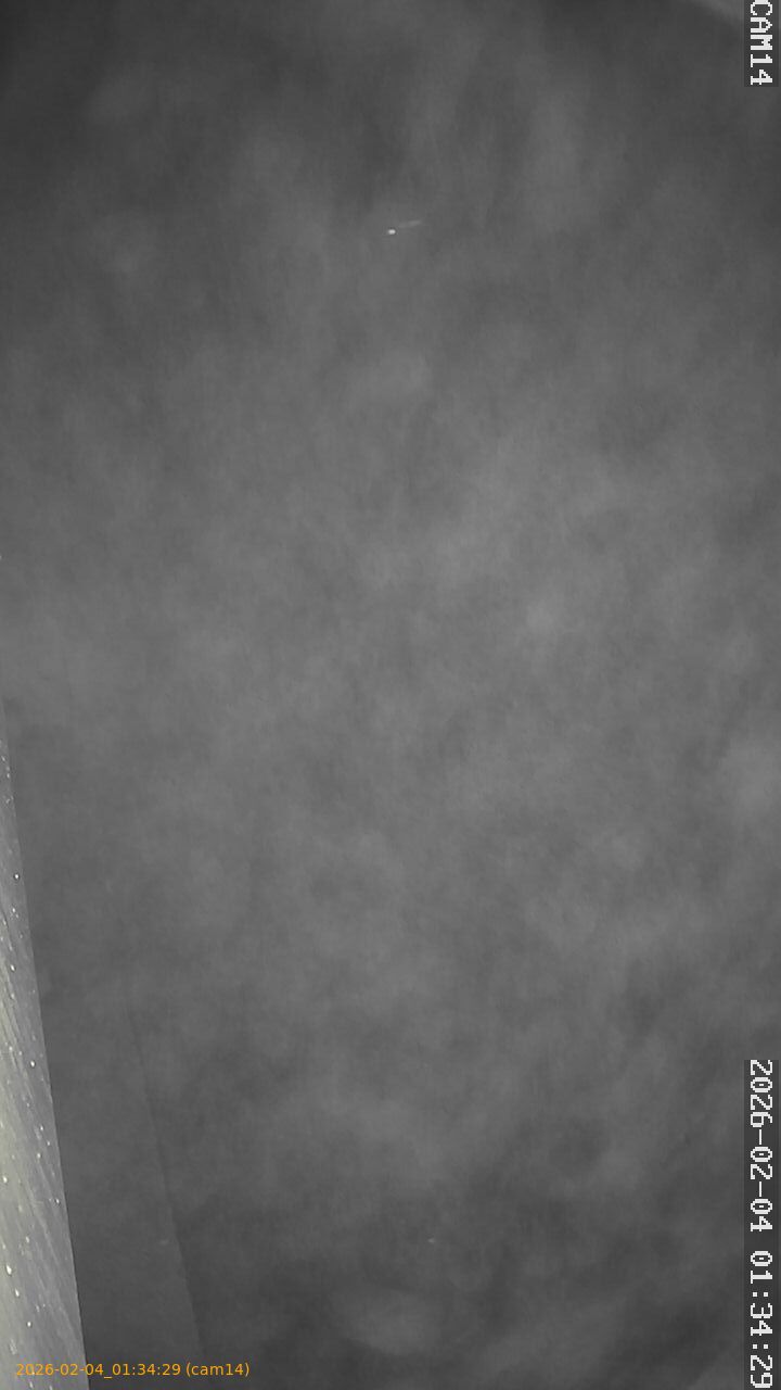 thumbnail_20260204013429