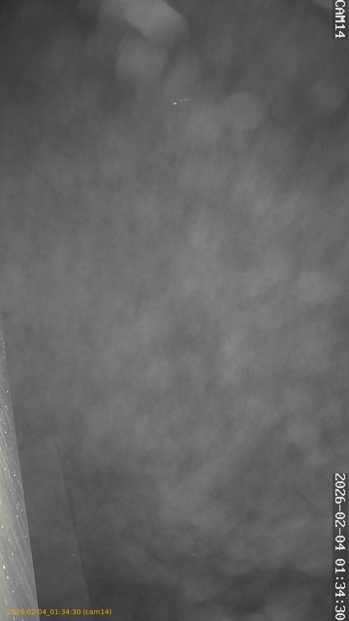 thumbnail_20260204013430