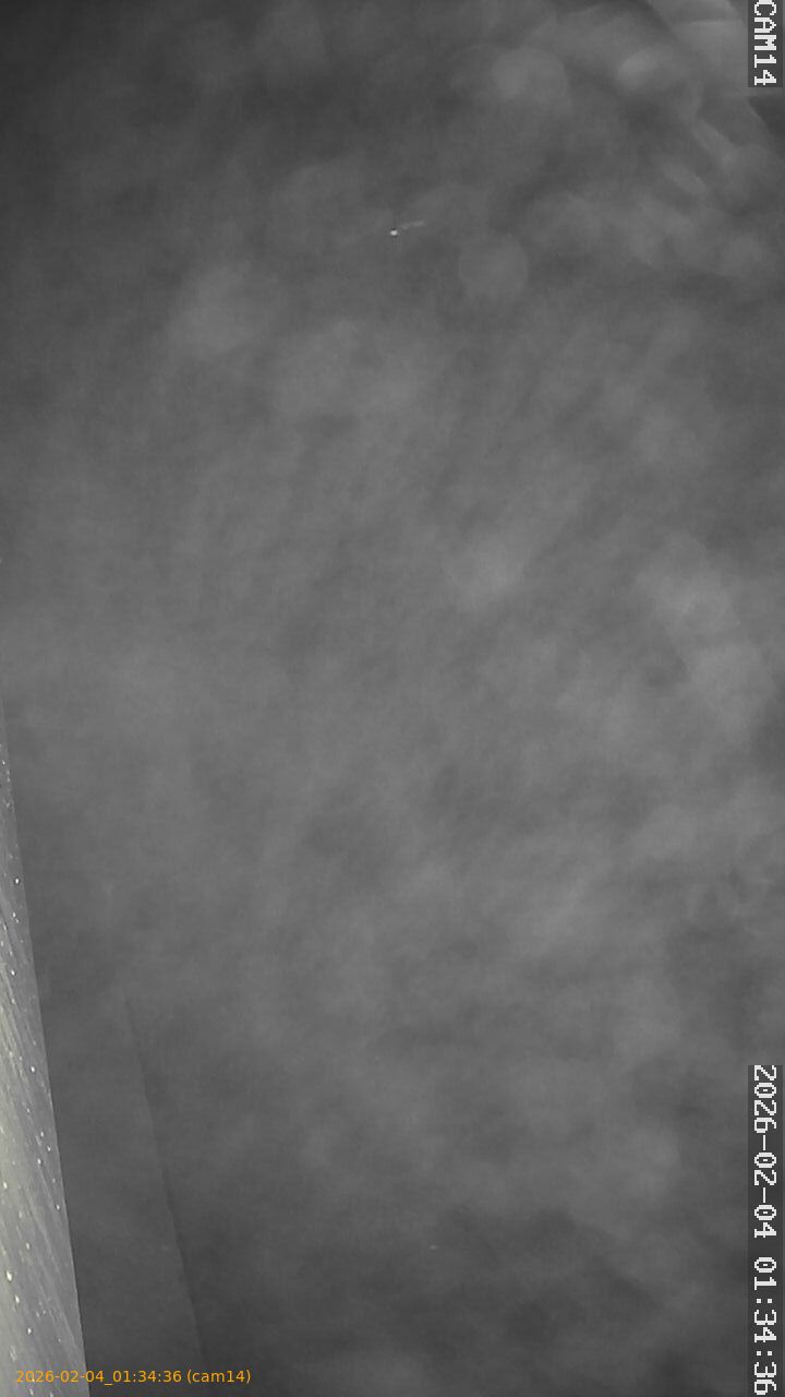 thumbnail_20260204013436