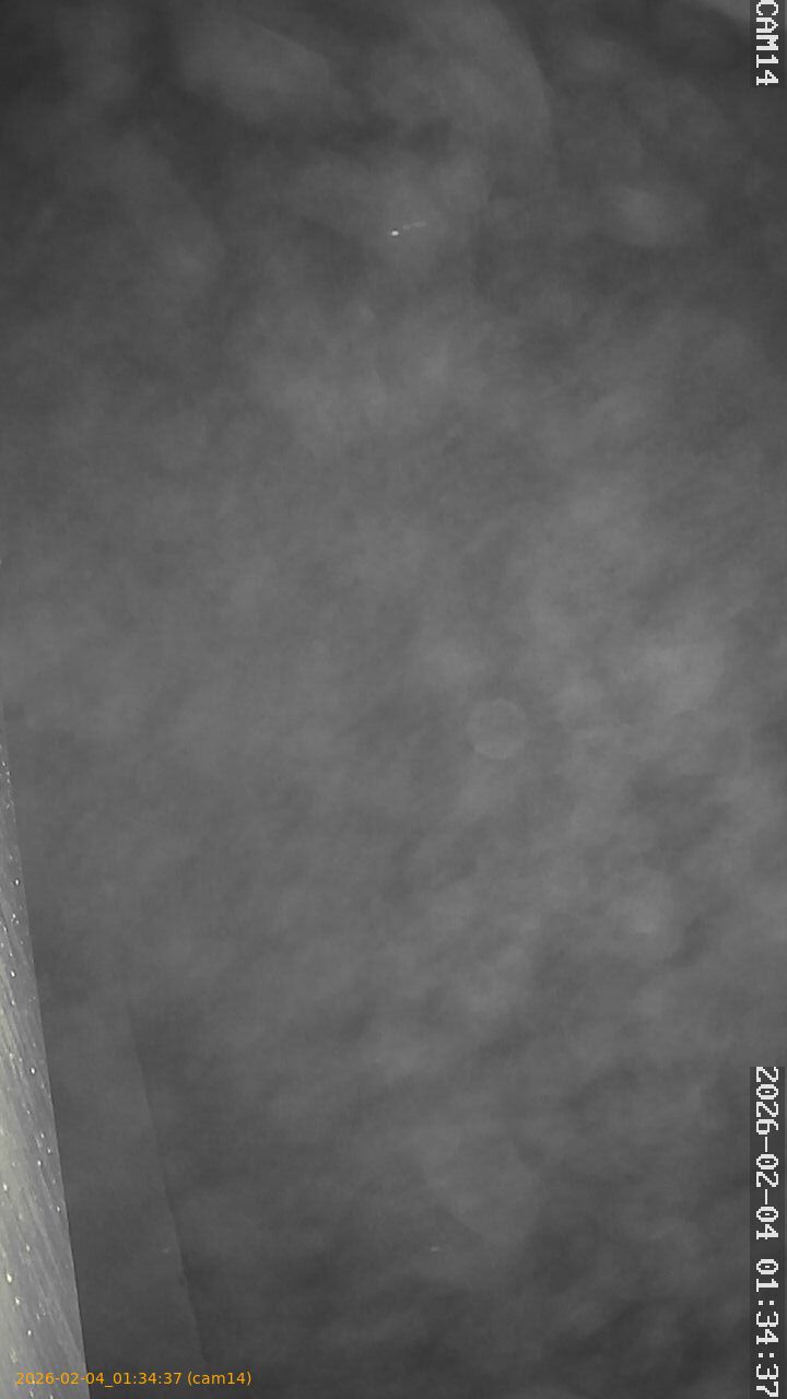 thumbnail_20260204013437