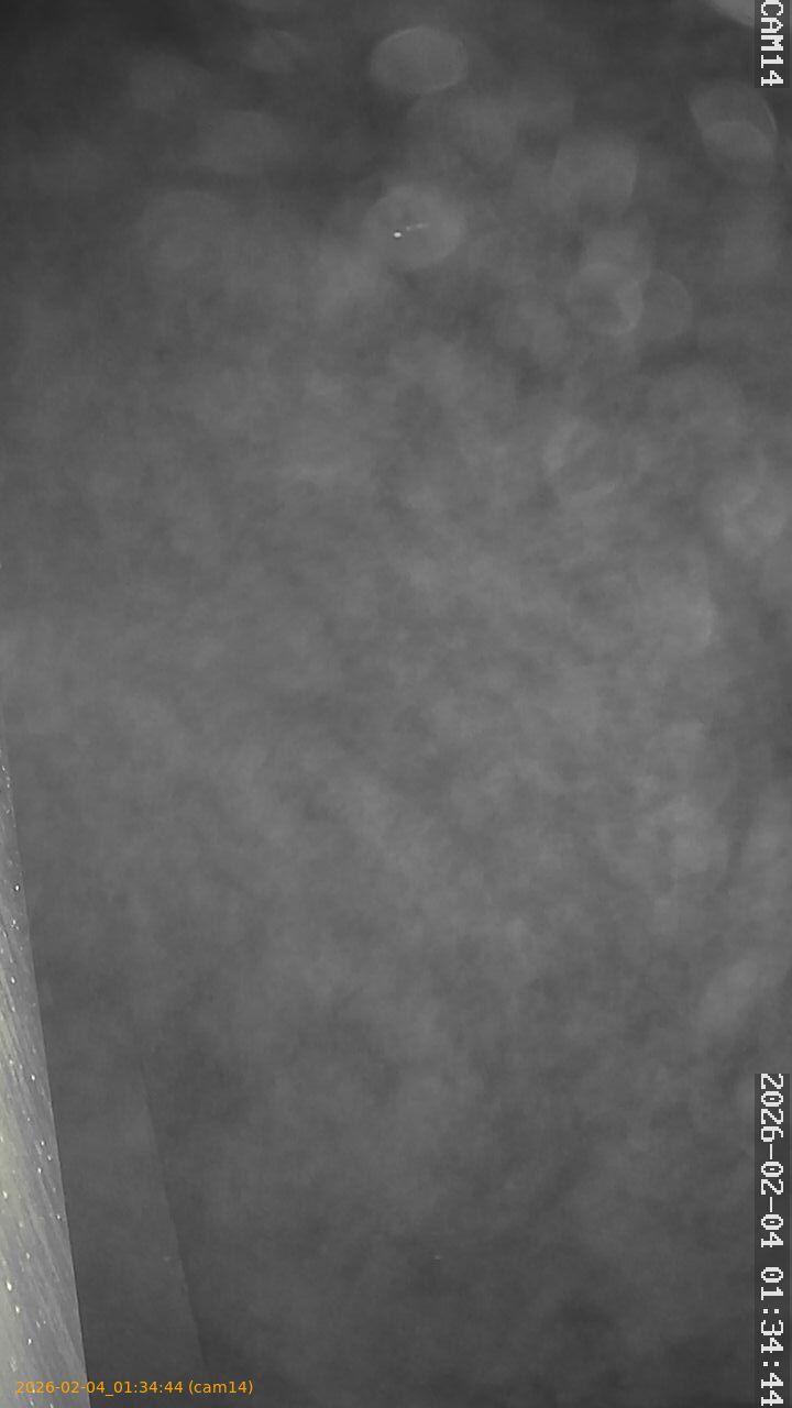 thumbnail_20260204013444