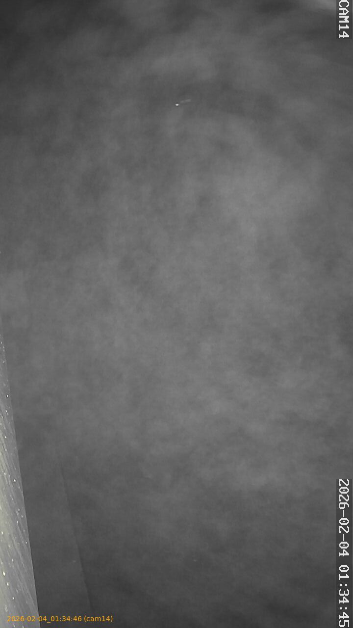 thumbnail_20260204013445