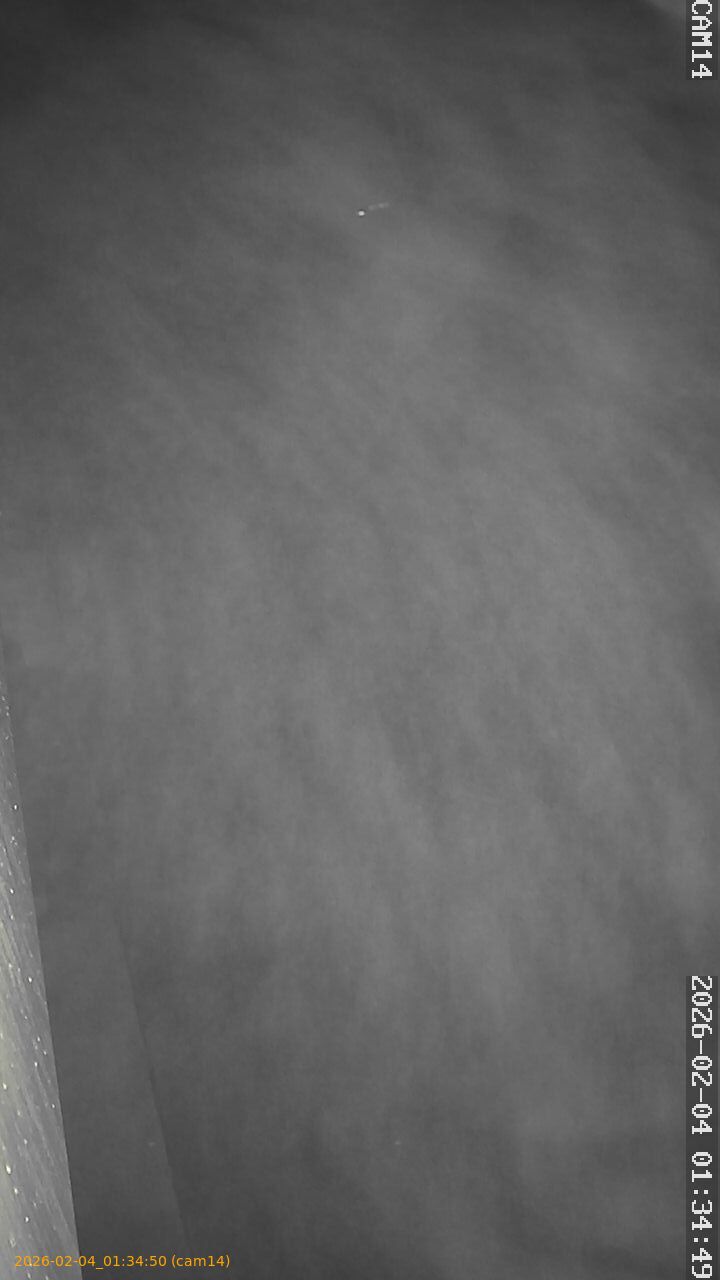 thumbnail_20260204013449