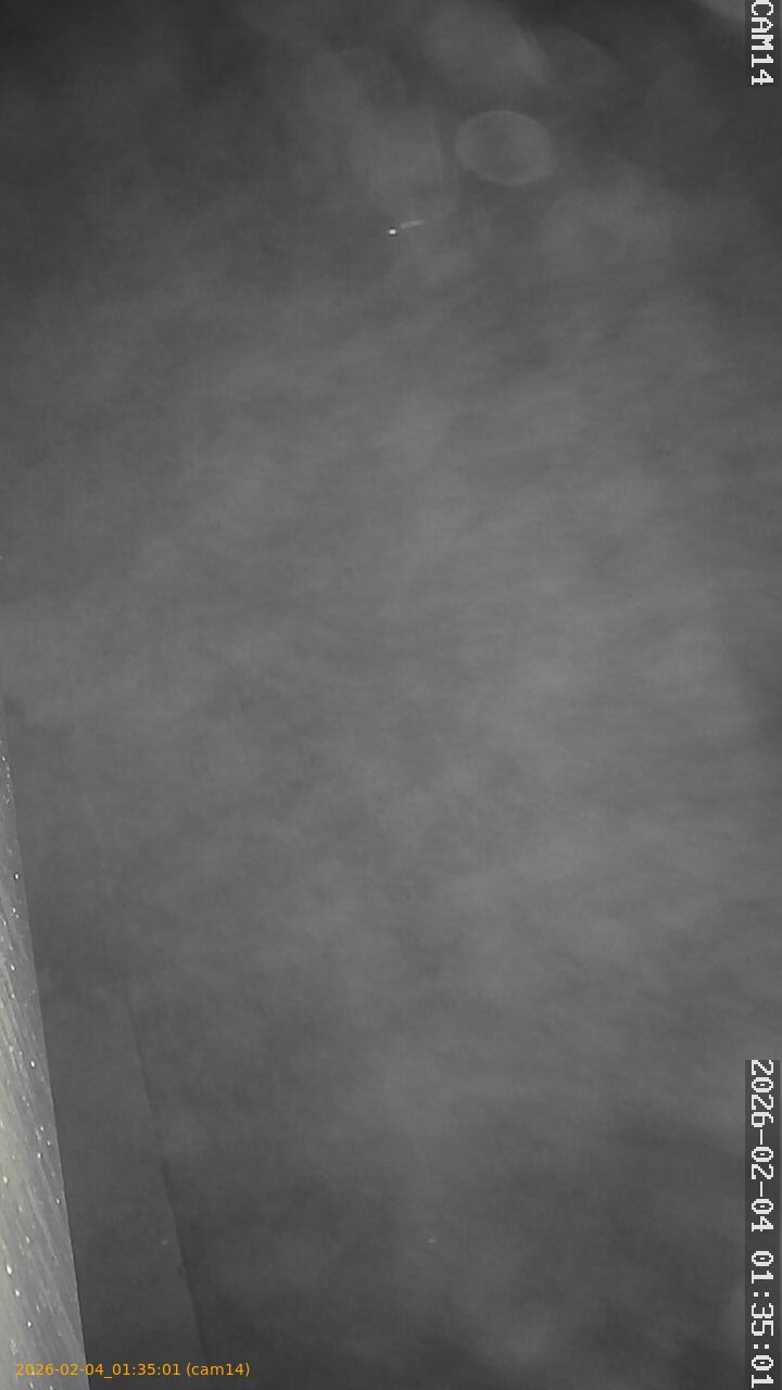 thumbnail_20260204013501