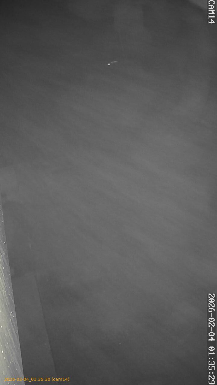 thumbnail_20260204013530