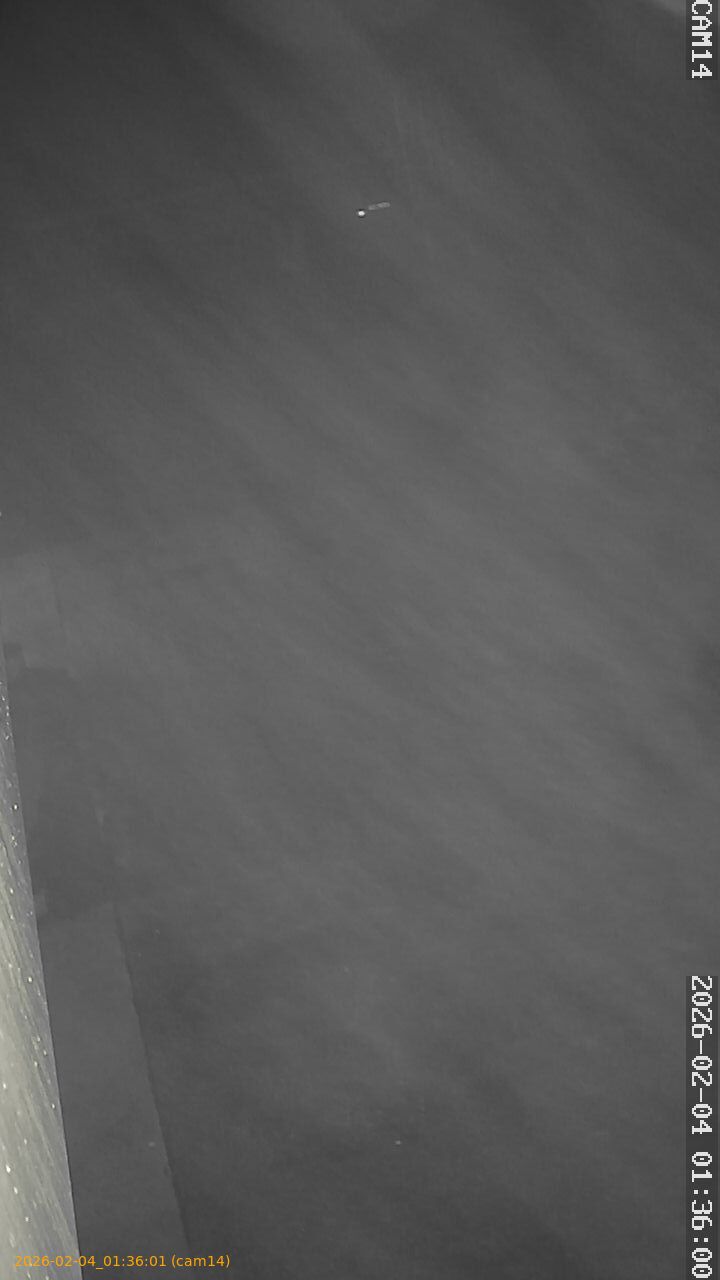 thumbnail_20260204013601