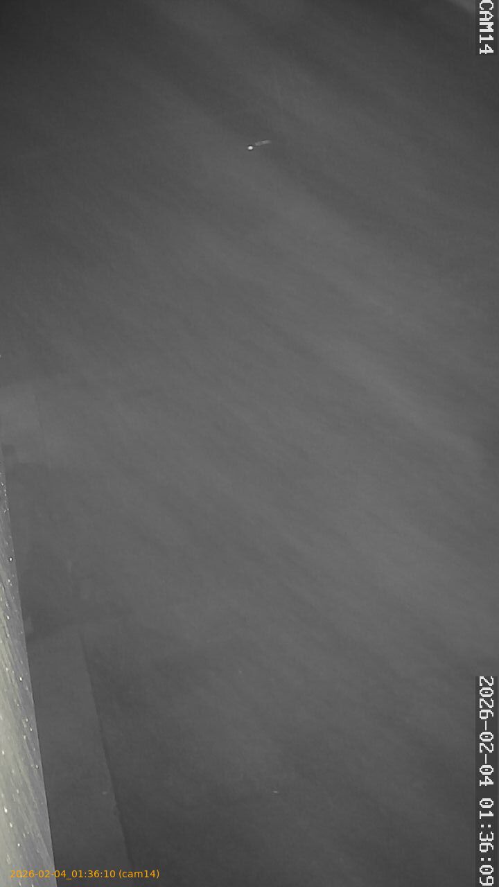 thumbnail_20260204013610