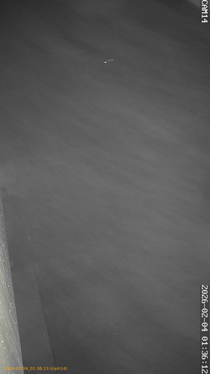 thumbnail_20260204013613