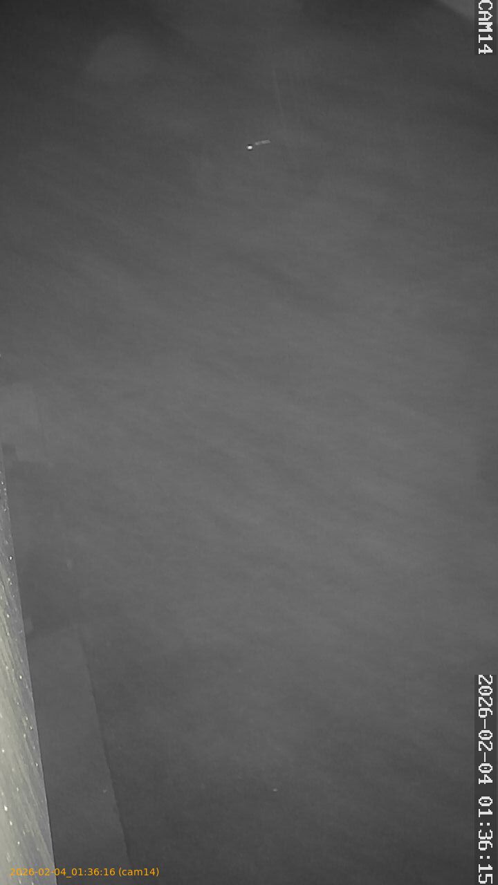 thumbnail_20260204013616