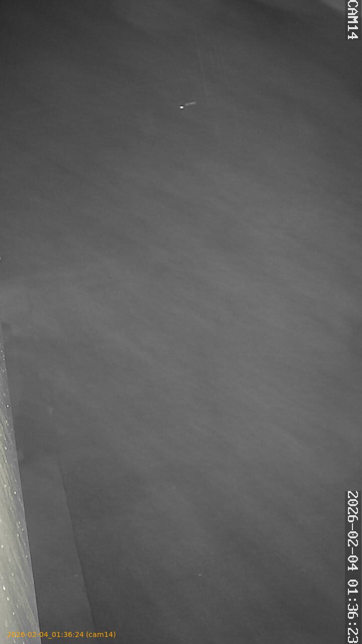 thumbnail_20260204013624