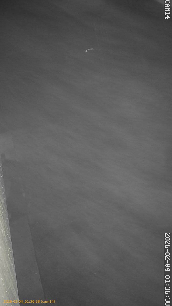 thumbnail_20260204013638