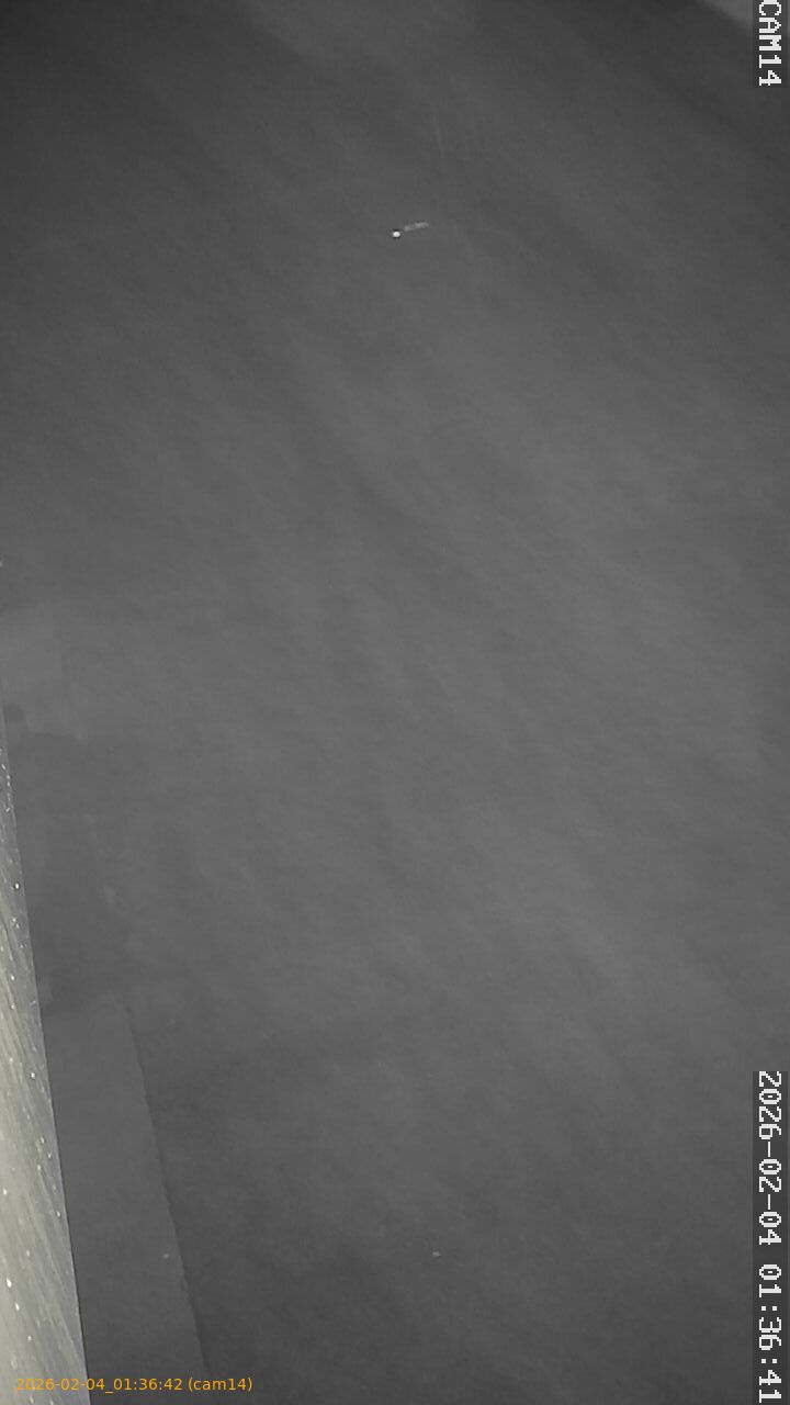 thumbnail_20260204013642