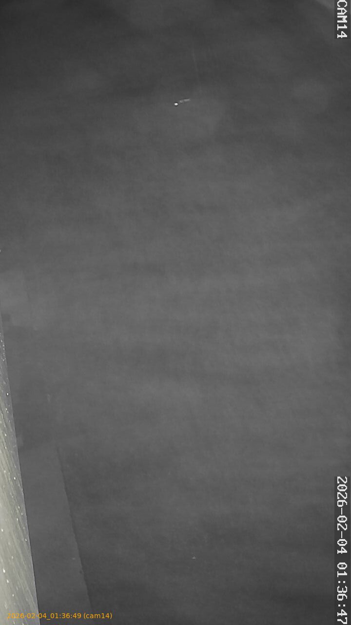 thumbnail_20260204013649