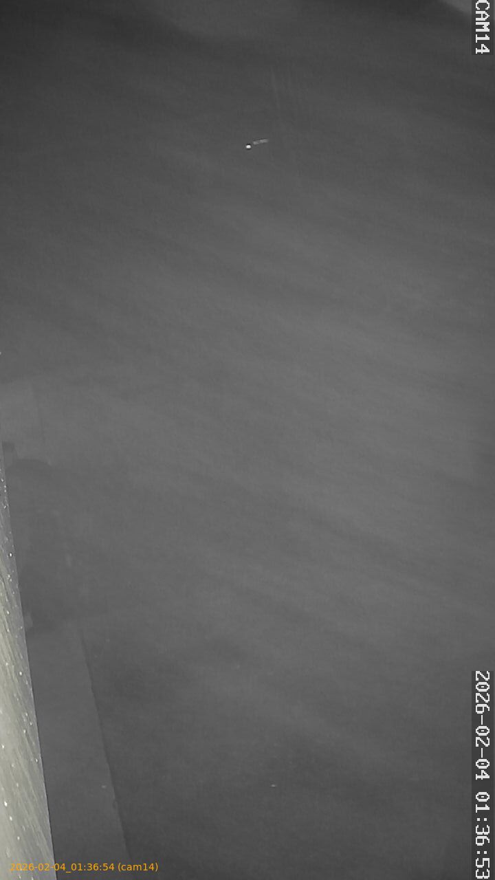 thumbnail_20260204013654