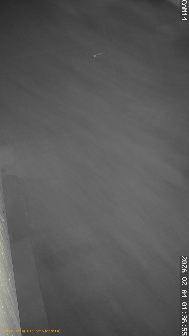 thumbnail_20260204013656