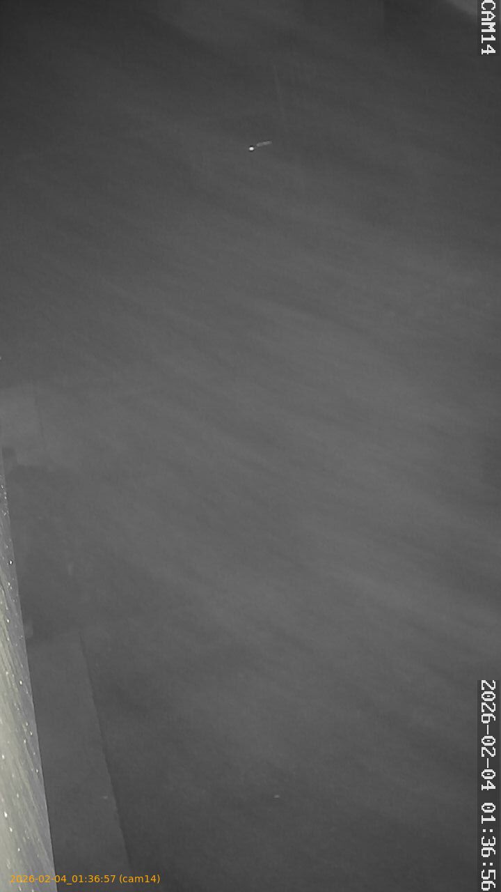 thumbnail_20260204013657