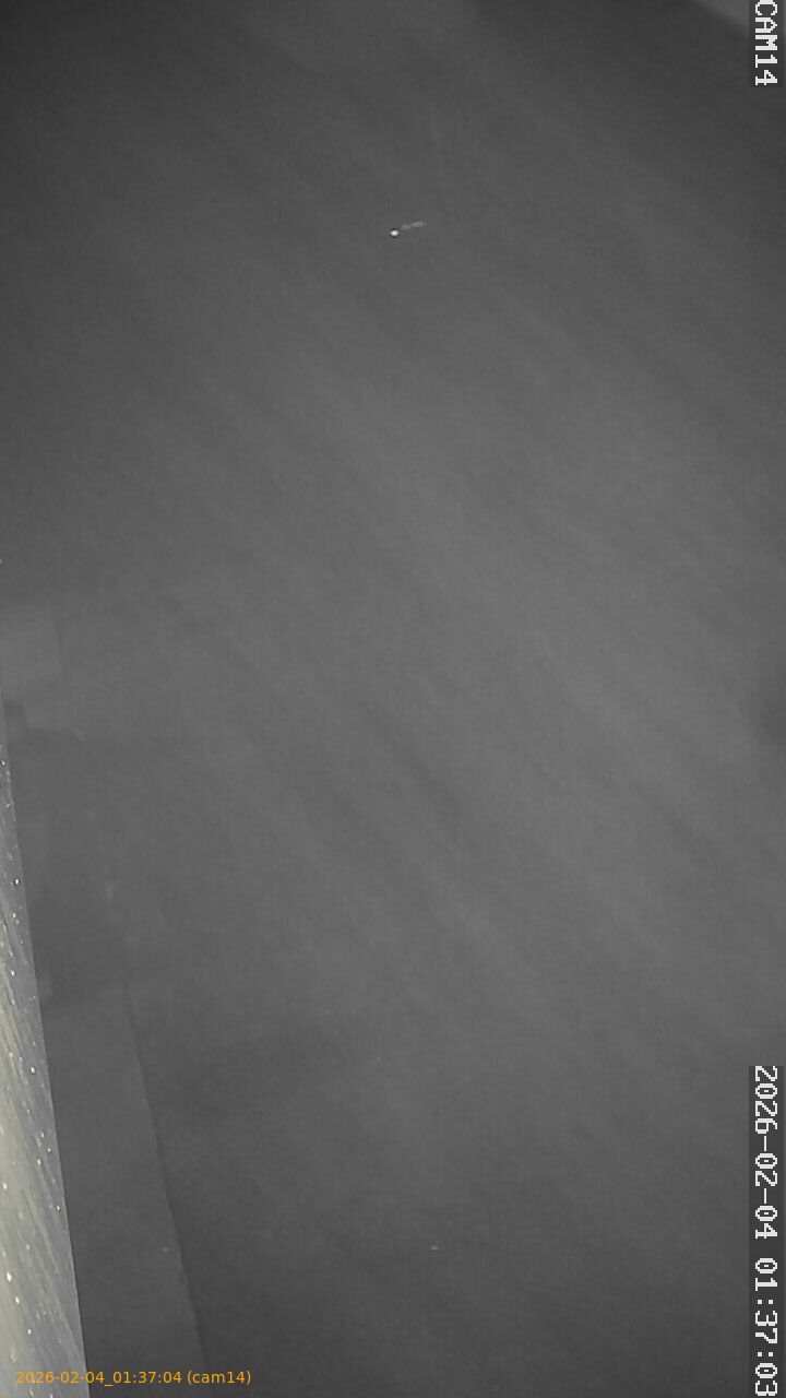 thumbnail_20260204013704