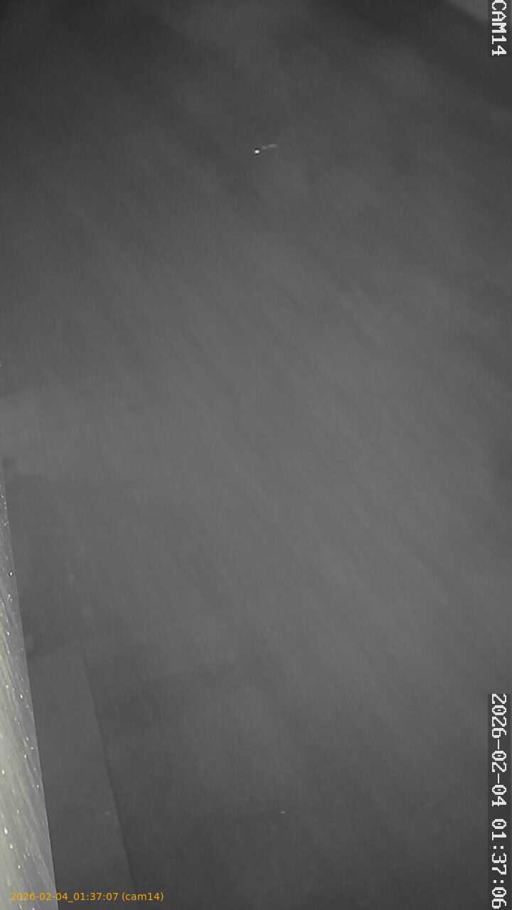 thumbnail_20260204013707