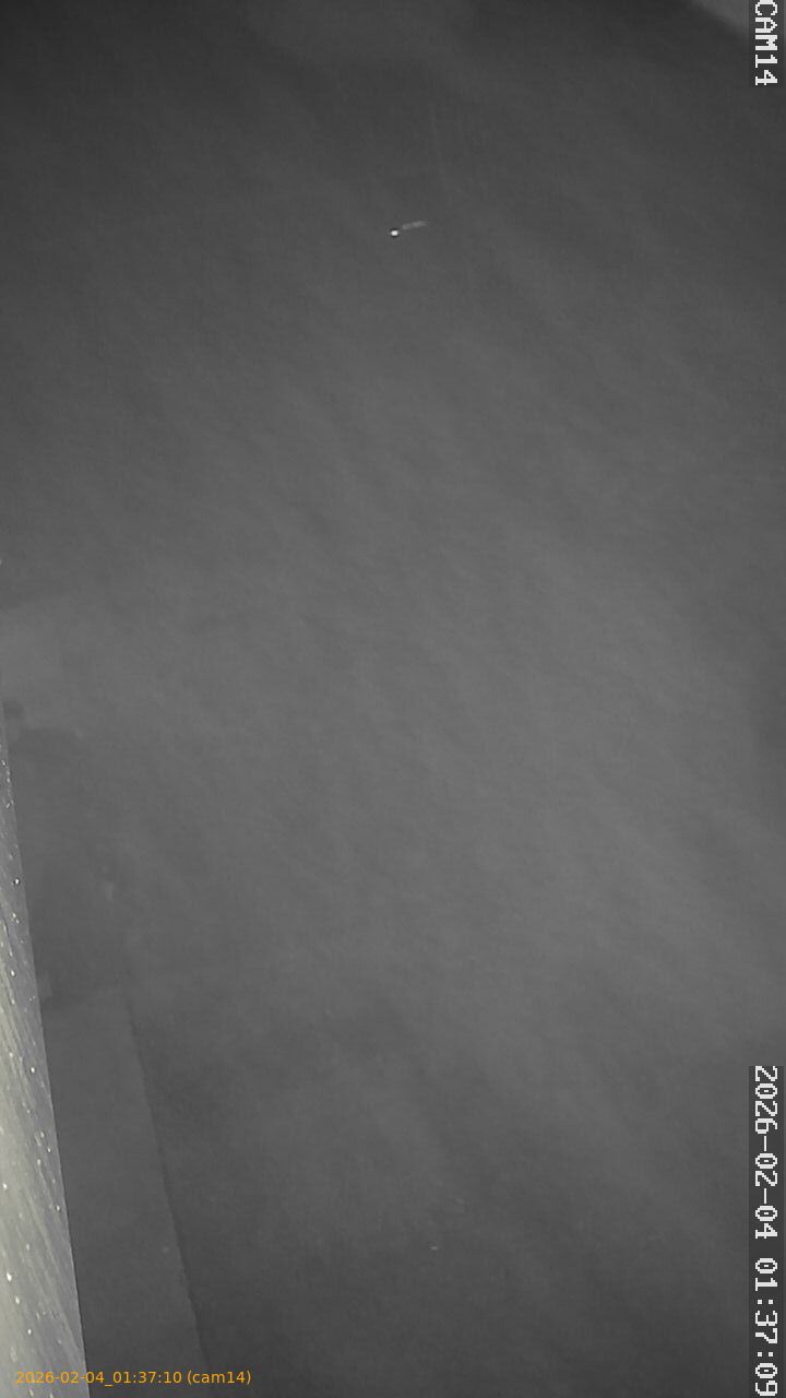 thumbnail_20260204013710