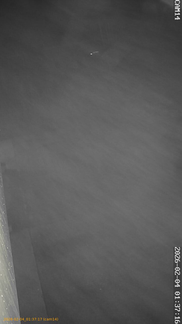 thumbnail_20260204013717