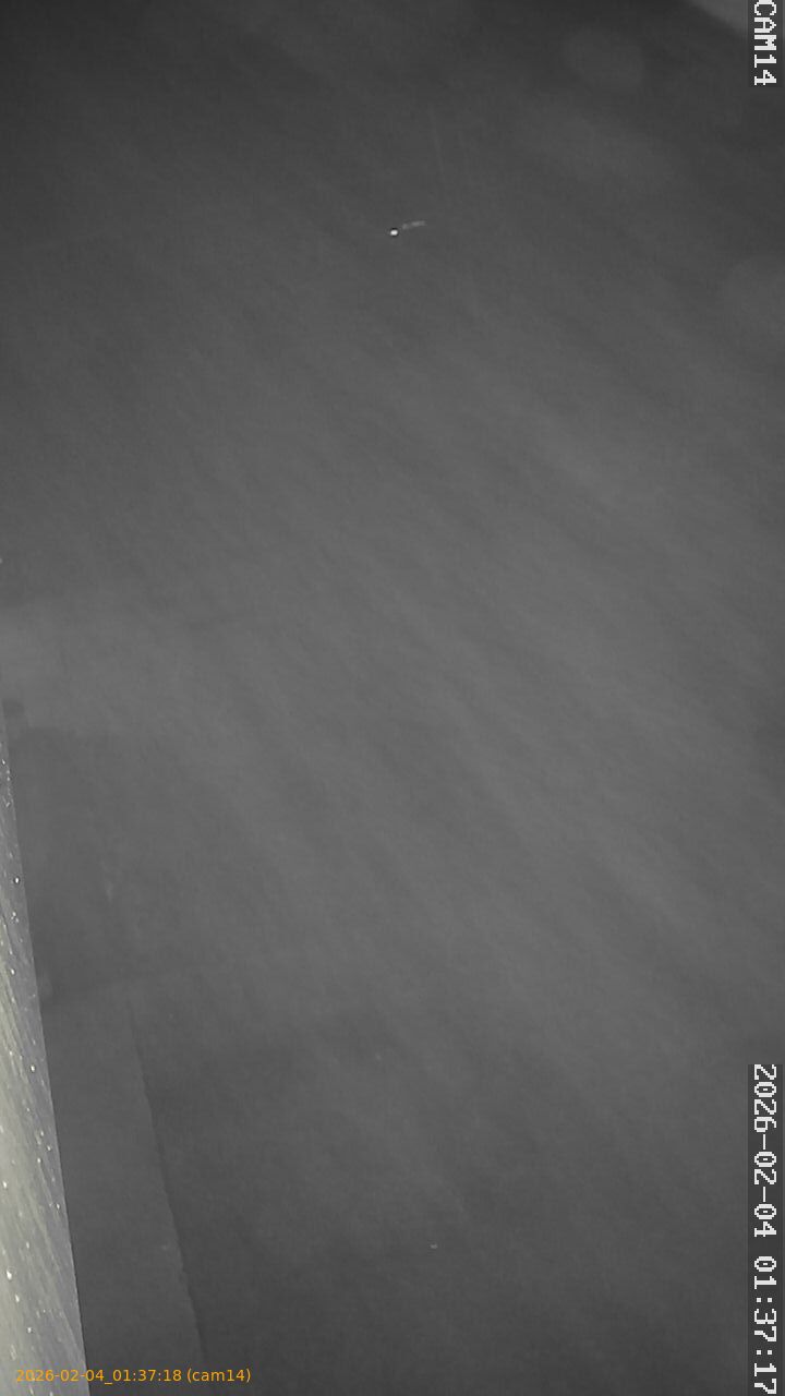 thumbnail_20260204013718