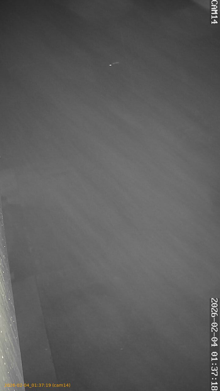 thumbnail_20260204013719