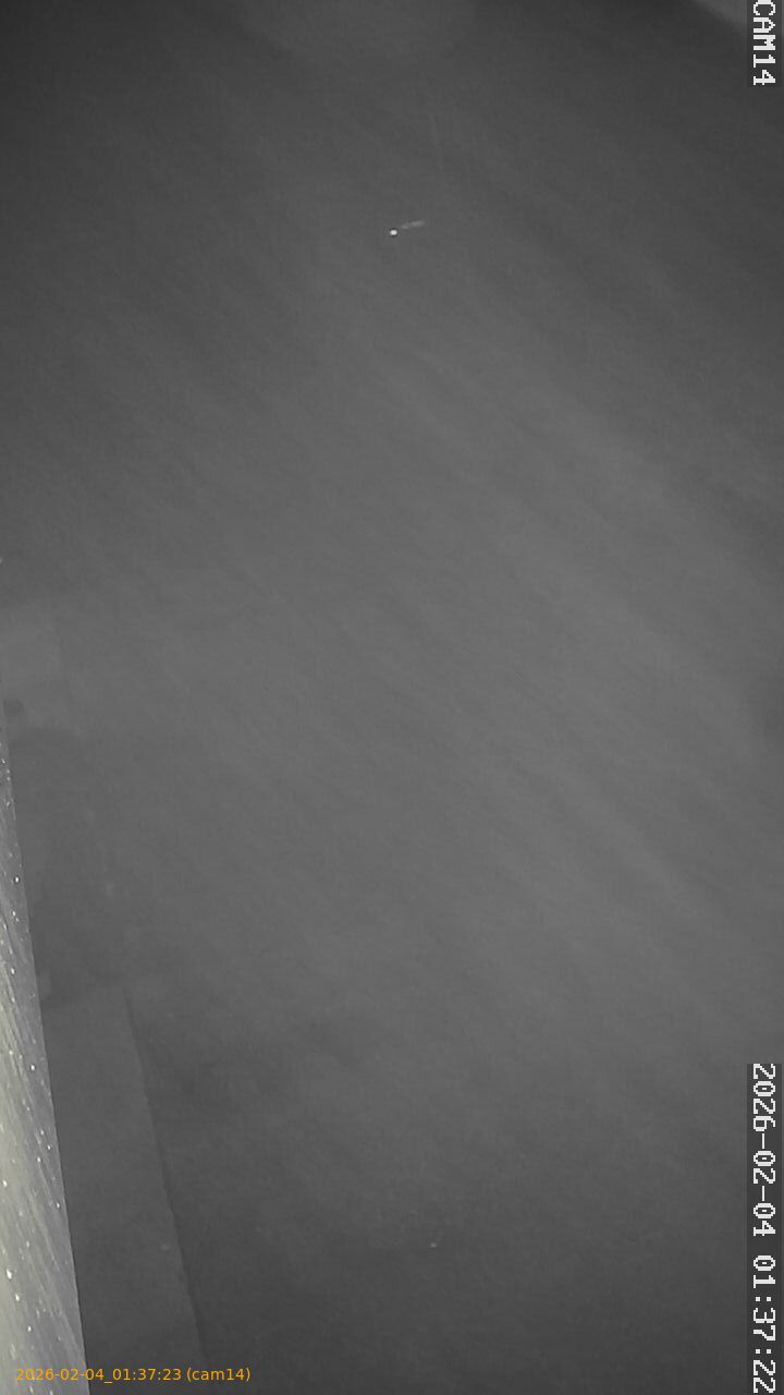 thumbnail_20260204013723