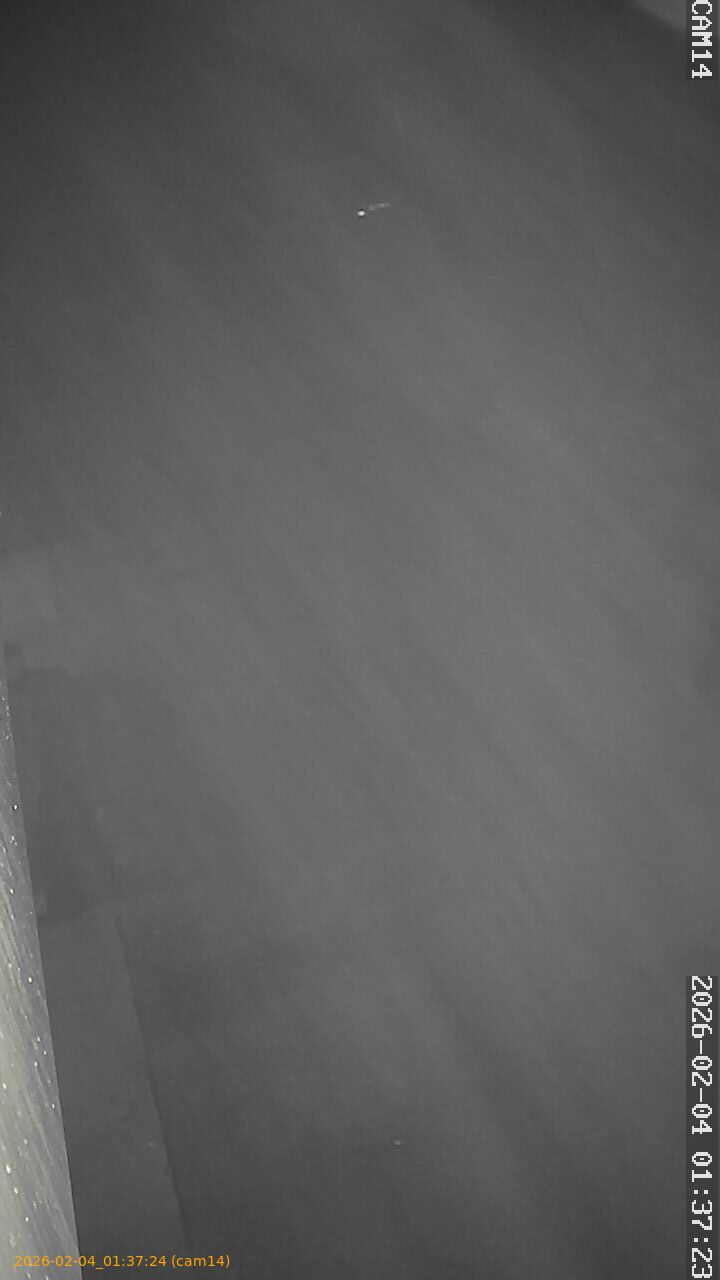 thumbnail_20260204013724