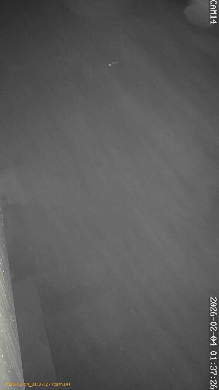 thumbnail_20260204013727