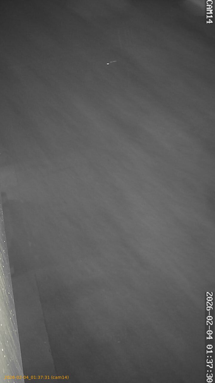 thumbnail_20260204013731