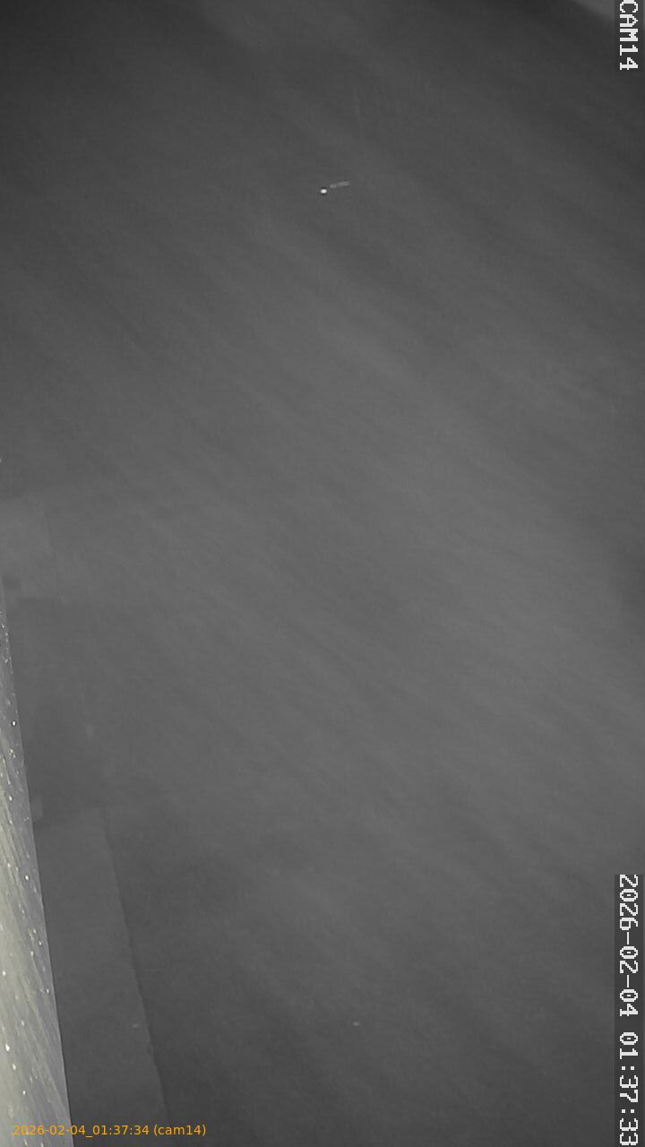 thumbnail_20260204013734