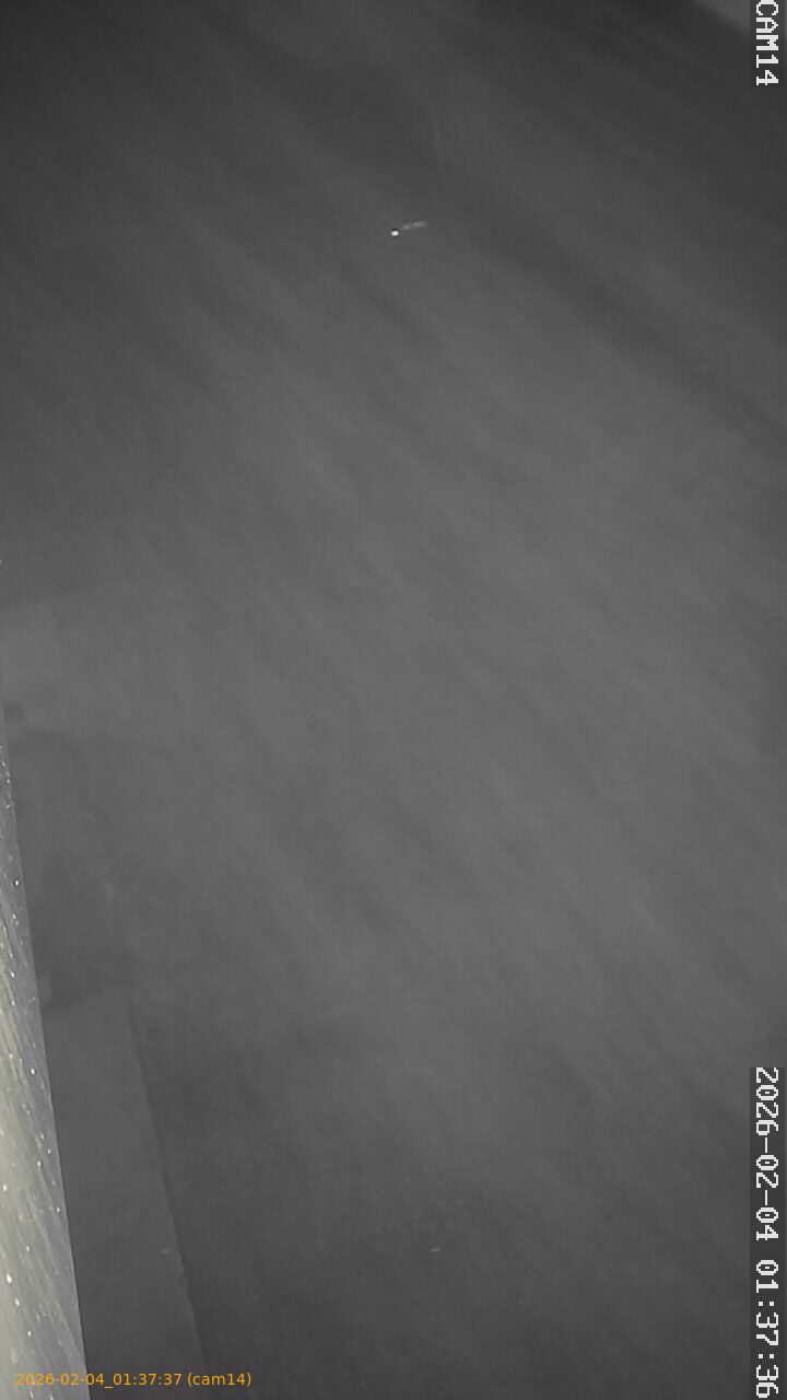 thumbnail_20260204013737