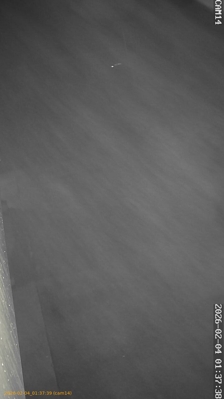 thumbnail_20260204013739