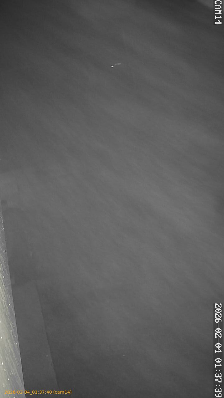 thumbnail_20260204013740