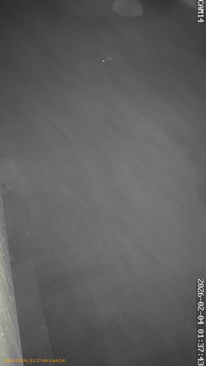 thumbnail_20260204013744