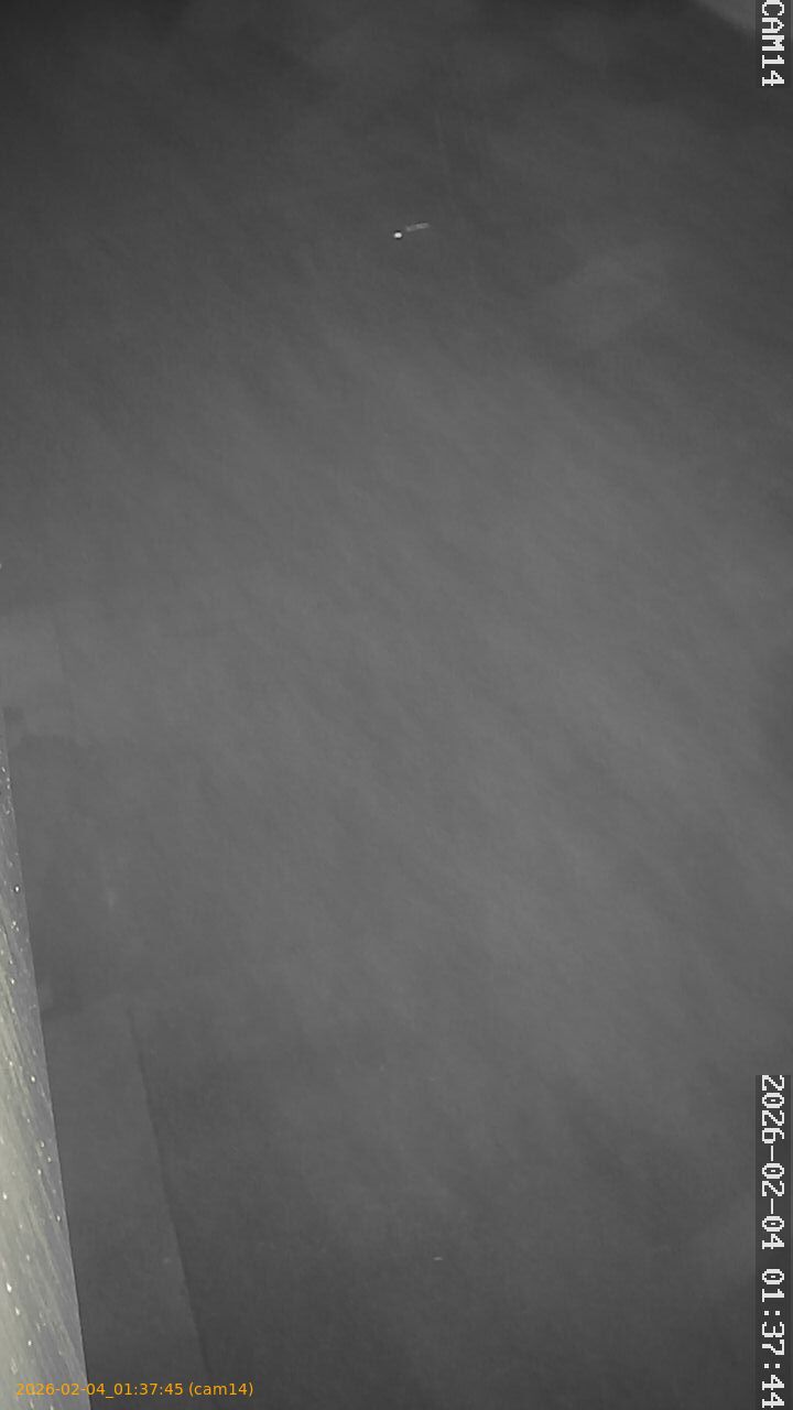 thumbnail_20260204013745