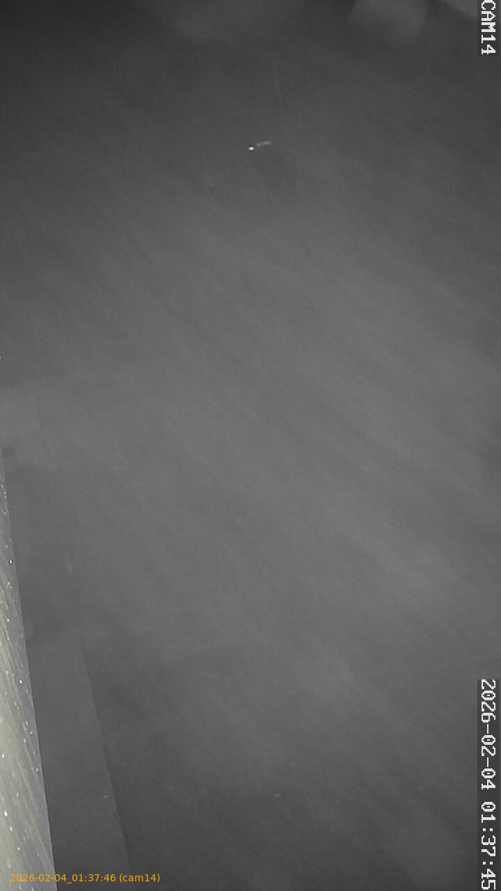 thumbnail_20260204013746